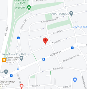 מפה ובה סימון מיקום המשרד ברחוב צה"ל 17, נס ציונה